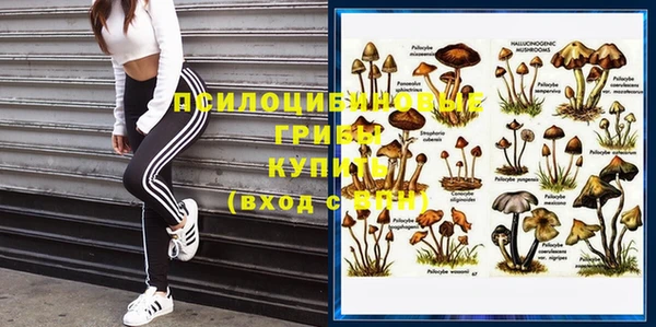первитин Беломорск