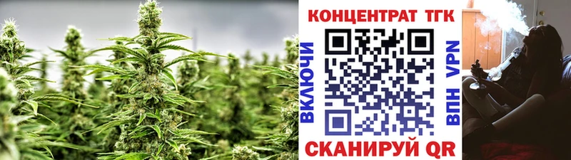 ТГК концентрат  Купино 