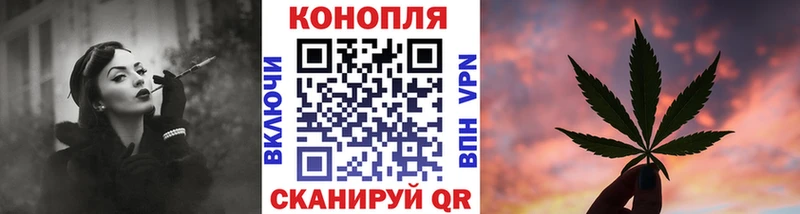 как найти наркотики  Купино  МАРИХУАНА сатива 